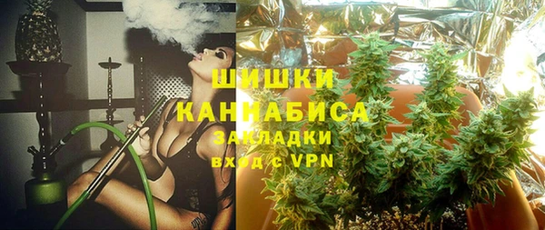 хмурый Липки