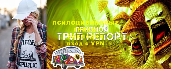 хмурый Липки