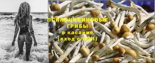 метадон Медногорск