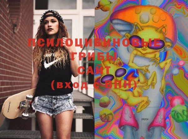 2c-b Лабытнанги