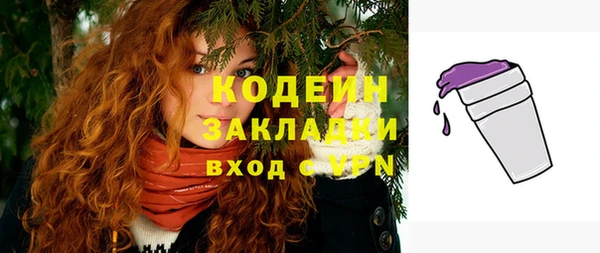 хмурый Липки