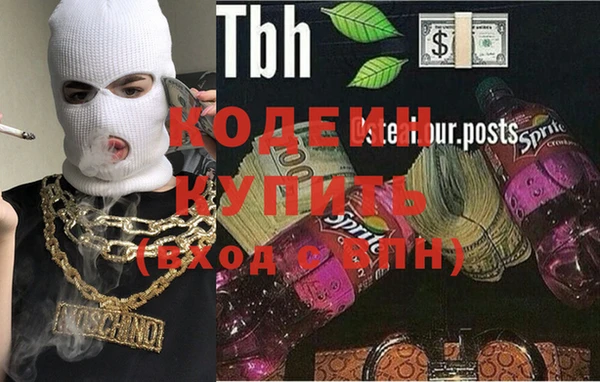 хмурый Липки