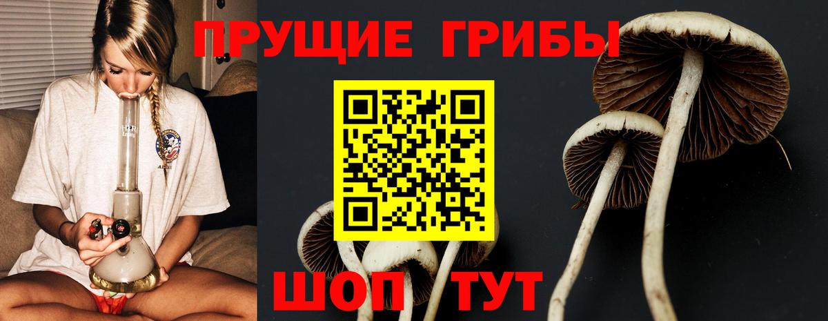Галлюциногенные грибы мухоморы Лангепас